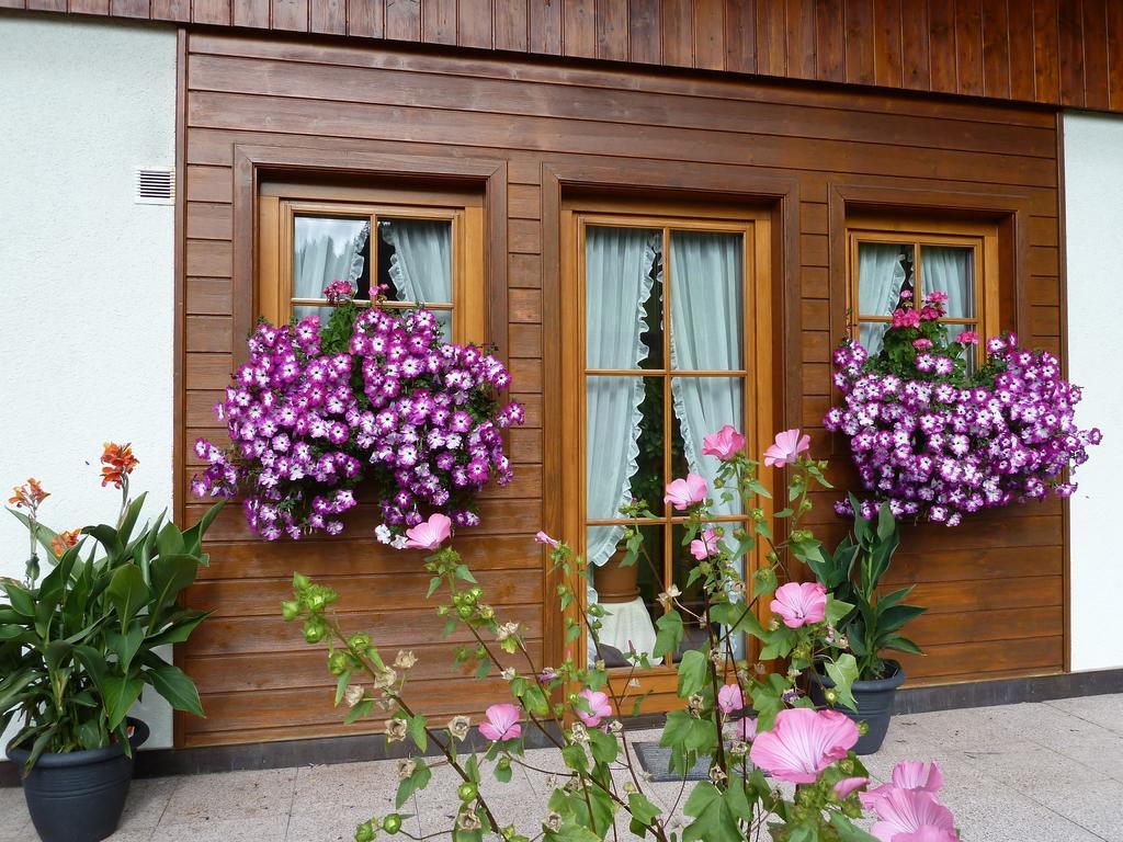 ヴェルフェンヴェンクHaus Silviaアパートメント エクステリア 写真